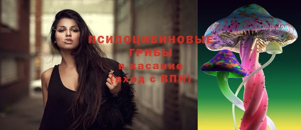 ПСИЛОЦИБИНОВЫЕ ГРИБЫ Балахна