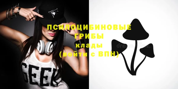 дживик Белокуриха