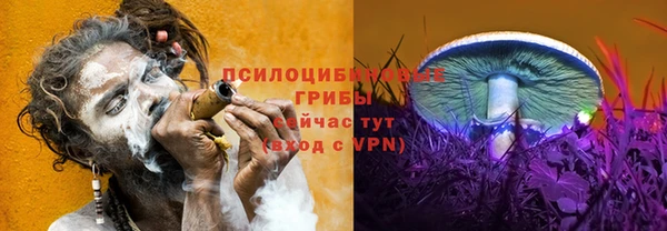 дживик Белокуриха
