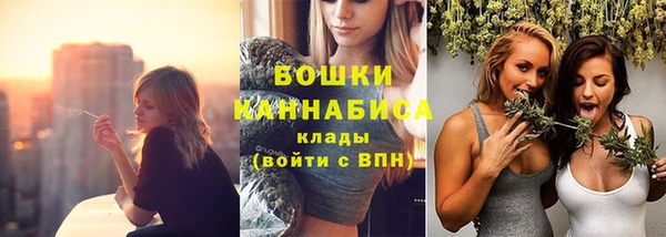 дживик Белокуриха