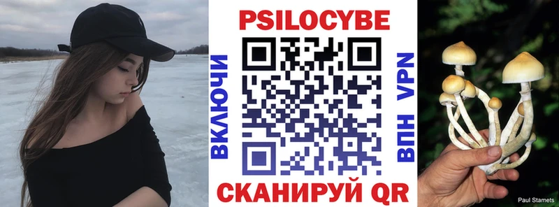 omg ONION  закладки  Вязьма  Галлюциногенные грибы мухоморы 