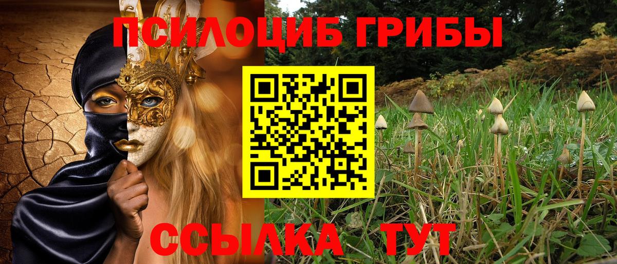 Псилоцибиновые грибы Cubensis  Вход с VPN  Вязьма 