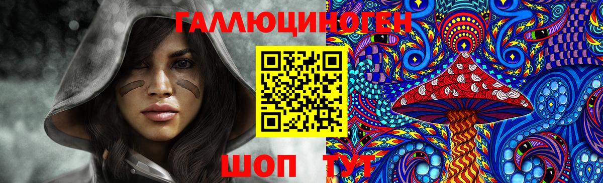 Псилоцибиновые грибы Psilocybe Вязьма